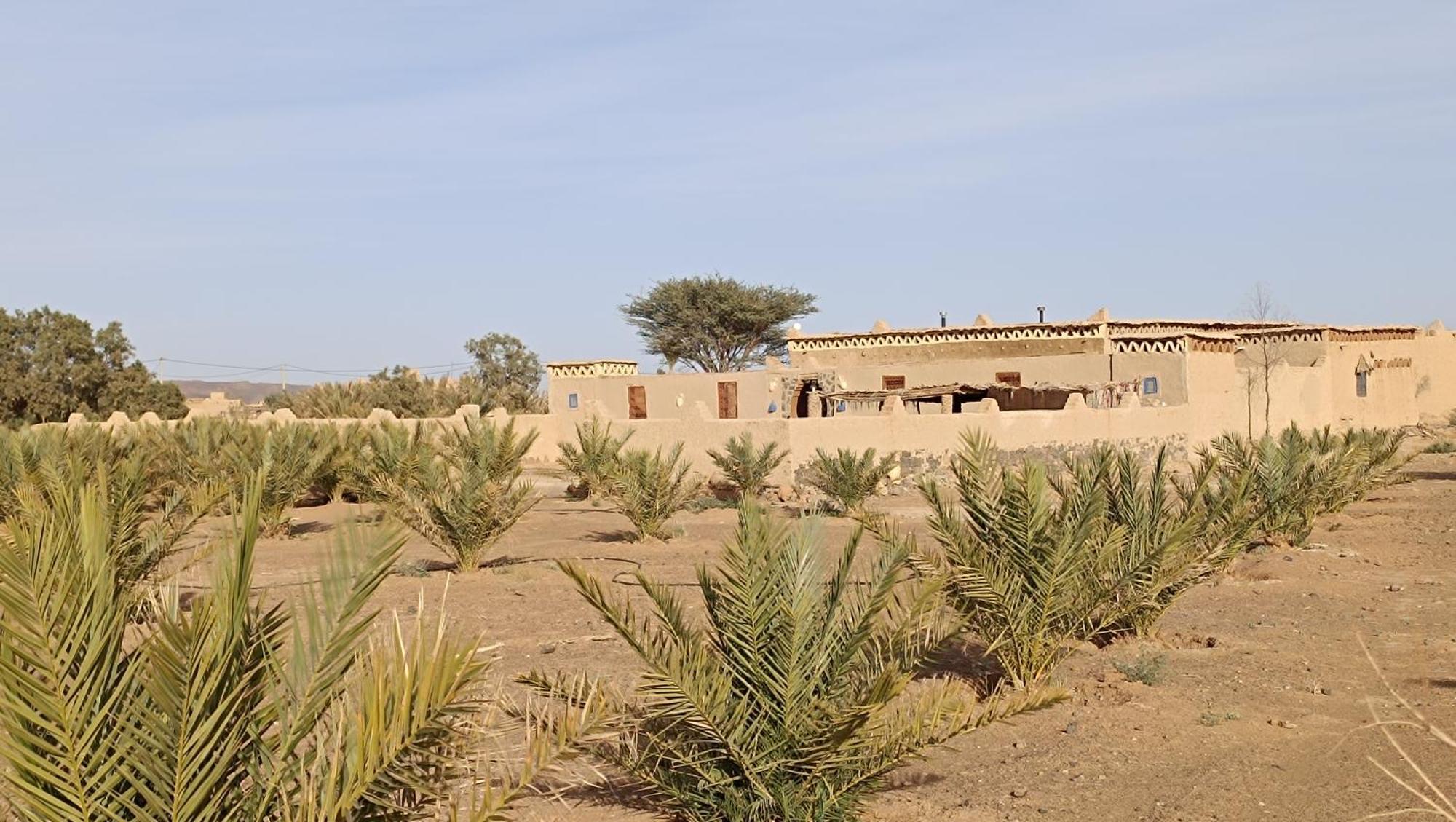 Kasbah Luna Del Sur Erfoud Exterior foto